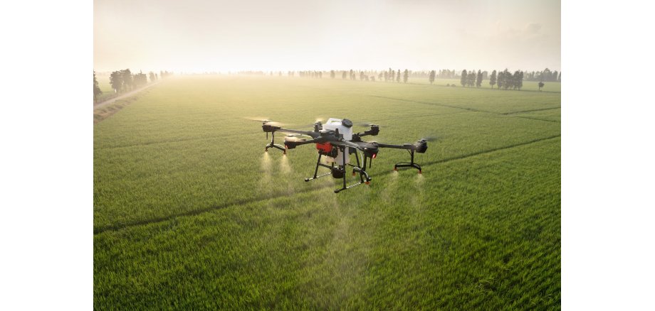 Eine Drohne fliegt über eine landwirtschaftlich genutzte Fläche und versprüht Flüssigkeit.